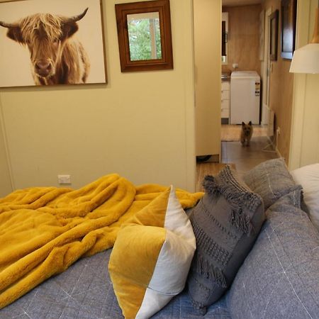 Aurora Lodge - 180 Views And Concierge Serviceハーフムーンベイ エクステリア 写真